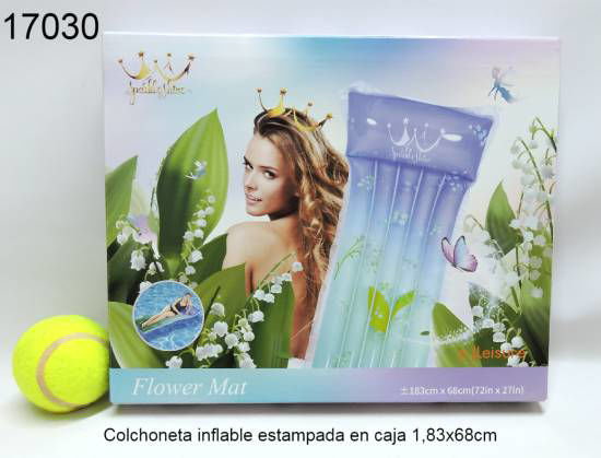 Imagen de COLCHONETA INFLABLE ESTAMPADAS EN CAJA1.83CM X 68CM 11.24